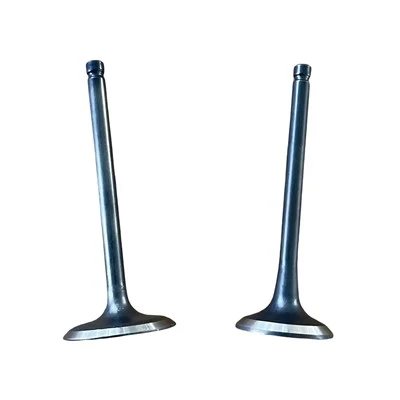 product-400-400 EX40 Rammer Inlet and exhaust valve